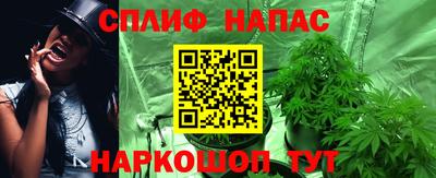 СК Братск