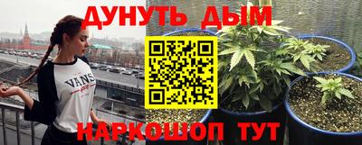 шишки Брянск
