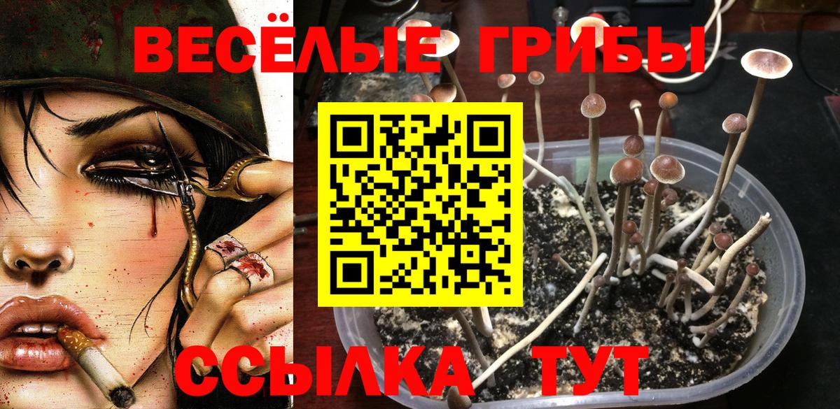 Борзя  Псилоцибиновые грибы прущие грибы  Псилоцибиновые грибы MAGIC MUSHROOMS  Вход с VPN 