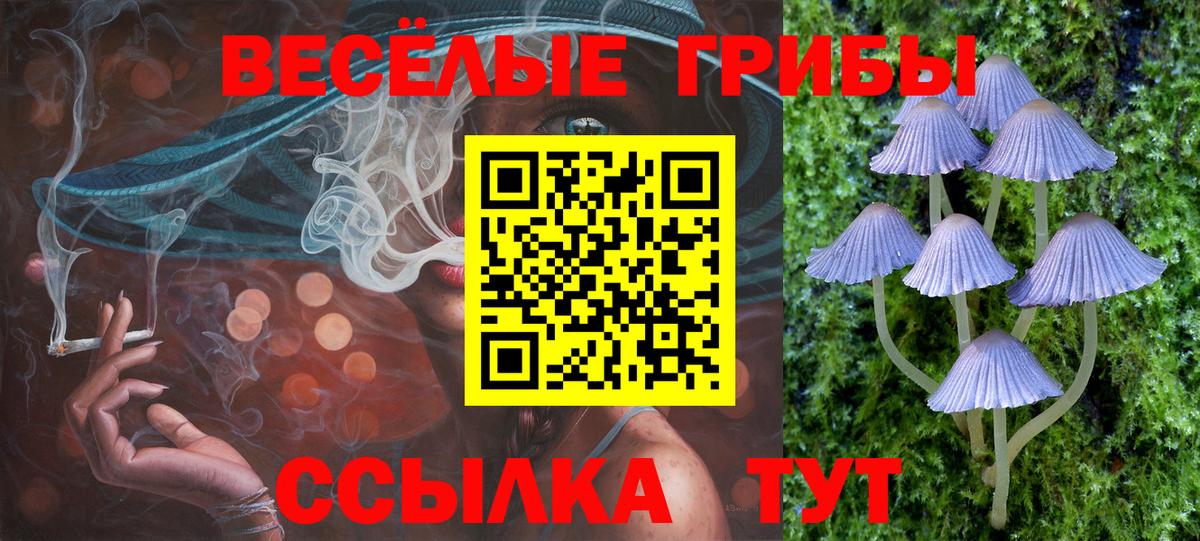 A PVP Борзя
